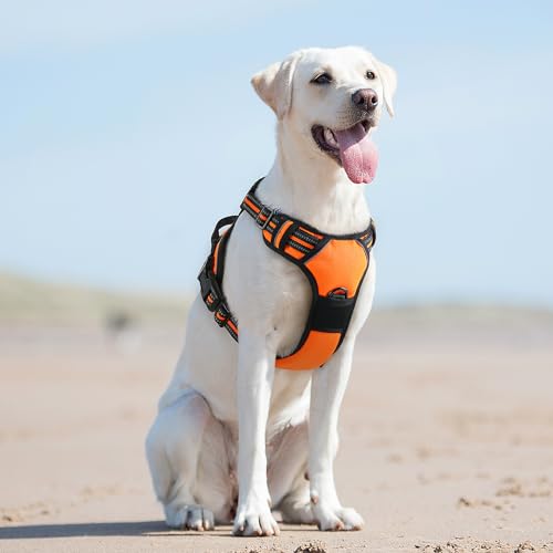 Eagloo DTCW-007-LN Dog Harness For Large Dogs, No Pull Service Vest thumb #8