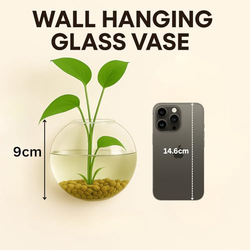 Image of ecofynd Glass Vase for Flowers Plants, Modern Decorative Vase for Home Decor Center Table, Bedroom, Living Room, Office Decoration, Wedding or Gifts, Fish Tank (GVASE007)