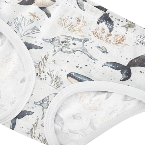ZZKKO Ocean Whales Corals Starfish Girls Underwear Toddler Panties for Girls Comfort Brief Size 2-8T3