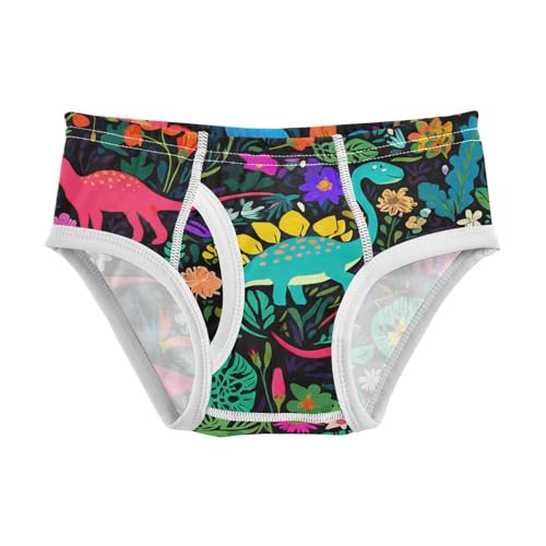 Cute Dinosaurs Toddler Boy's Underwear 2T 202c1201