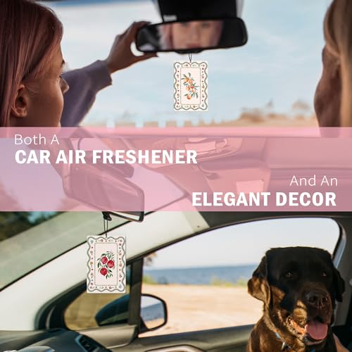 Image of Vintage Cottagecore Fruit Car Air Freshener 4Pcs, Orange Pear Pomegranate Lemon Air Freshener for Car Interior Closet Drawer Books, Fruits Car Mirror Decor Hanging