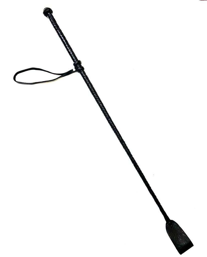 PETS TRIANGLE 27” Genuine Leather Braided Stick for Dog Training and Dog Walking Stick (Black) (B0BT7V1ZMF) Amazon Price History, Amazon Price Tracker