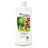 Spitzner Saunaaufguss Aufguss Ingwer Limette 1000 ml