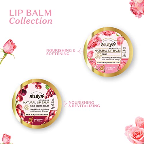 Atulya Rose Natural Lip Balm with Bees Wax & Honey | Nourishing Lip Balm for Soft Lips | Lip Balm for Velvety Lips | Unisex Formula - Image 6