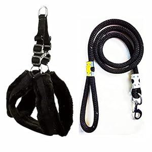 Agirav Dog Belt Combo of Nylon Fur Padded Black Dog Harness with Black Dog Lead Specially for Medium Breeds Dog Harness (Black, Pack of 1) (Black)