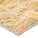 Complete Build 2440x1200 OSB 11mm-Sterling Board (2440 x 1220 x 11mm) x 5 Sheet Deal