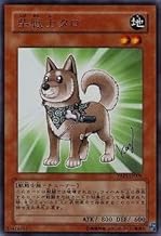 遊戯王/第6期/YAP1-JP009 柴戦士タロ【ウルトラレア】