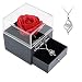 Produktbild Geschenke für Frauen Handgefertigte konservierte Die Schöne und das Biest Rose Geschenk Kit mit Damen Halskette Geschenke für Mama,Valentinstag Muttertag Hochzeit Jahrestag Geburtstag Geschenk für sie