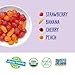 YumEarth Organic Fruit Snacks Box, 0.7 Ounce (Pack of 10)