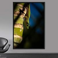Framed Canvas Wall Art Reptile Contemporary Dramatic Hallway Iguana Multicolor Photography Reptiles - 16x24 inches