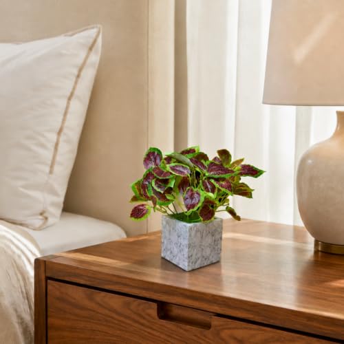Image of fancymart Artificial Plant with Real-Touch Leaves in Pot, 25 cm, Indoor Tabletop Item for Home Decor, Office, Living Room