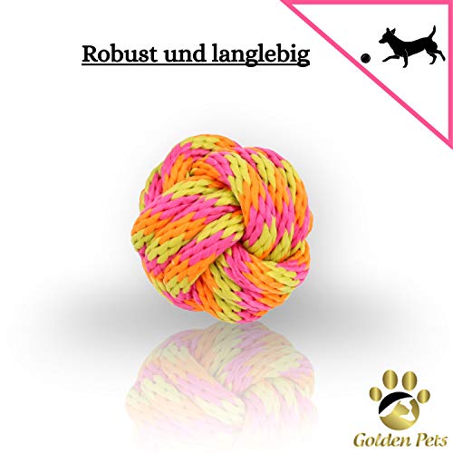 Golden Pets Hundespielzeug 4-teiliges Set I Ideal für kleine bis mittelgroße Hunde und Welpen I Aus natürlichen hochwertigen Baumwollfasern I + Gratis Pflegehandbuch