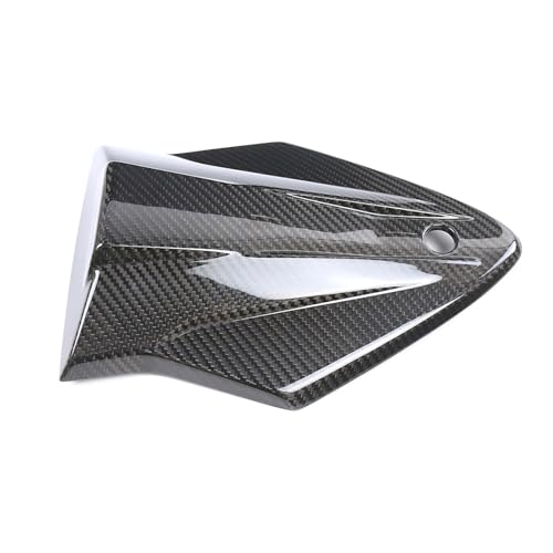 Couverture siège arrière en carbone sec 3K pour BMW S1000R