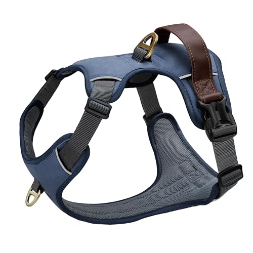 Image of Didog No Pull Dog Harness for Small Dogs, Classic PU Leather, Blue, S