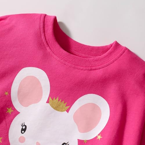 Image of HILEELANG Toddler Girl Fall Outfits Clothing Pants Set Sweatshirt Cotton Strench Leggings Playwear Sets 2pc