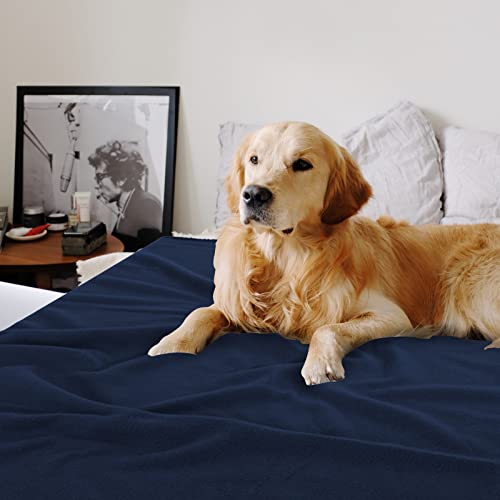Special Sg Glory Fleece Throw Blankets Solid Lightweight Warm Soft Cozy Pet-Friendly For Home Bed Sofa Couch Dorm Office Wedding Gifts Travel Airplane For Seasons (Assorted#1 Pack Of 6-50X60 Inches) #TOP5
