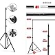 Fotostudio Set mit 2x3M Hintergrundsystem Softbox Fotoschirm Greenscreen Set für Porträt Produktfotografie