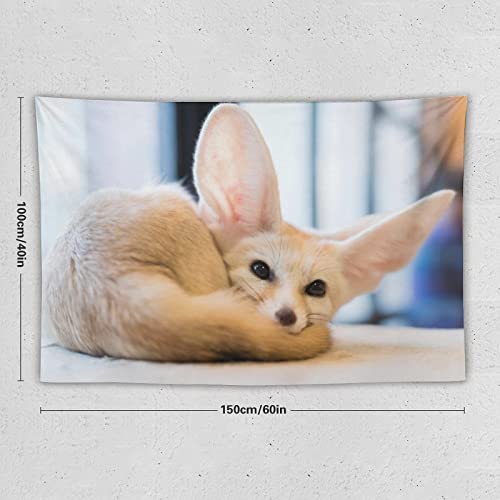 Qlazo Animal Fennec Fox Snow White Big Ears Cute Looking Tapestry Wall Tapestry Wall Hanging Decor Wall Art For Bedroom Living Room Dorm Picnic 40"X60" #TOP1