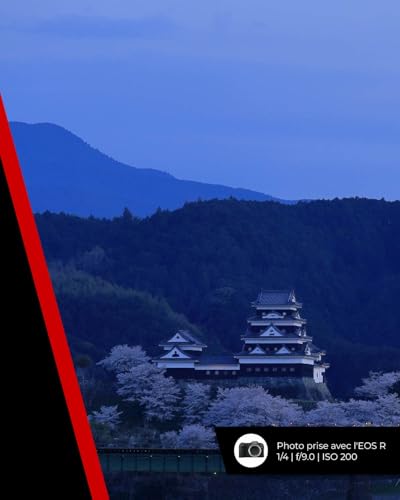 Objectif Canon RF 24-240 mm F4-6,3 IS USM téléobjectif et grand-angle standard 10x, faune, paysage, rue, compatible avec le système Canon EOS R