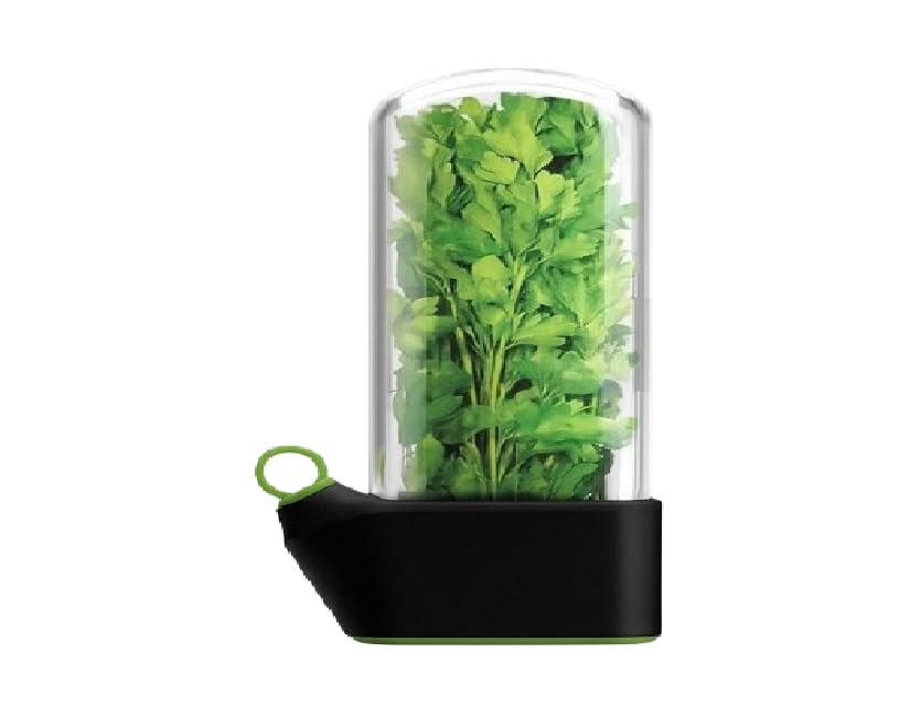 Image of Fresh Herb Storage Container with Herb Peeler, Clear Glass Keeper for Parsley, Asparagus and Herbs,Herb & Vegetable Storage Container for Fridge, Black Base