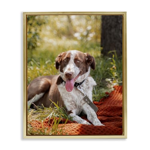 Stupell Industries Pet Personalized Custom Print Rectangular Gold Floater Framed Wall Art