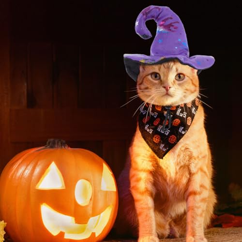 Sombrero de mascota Halloween FOMIYES disfraz gorro miniatura 4