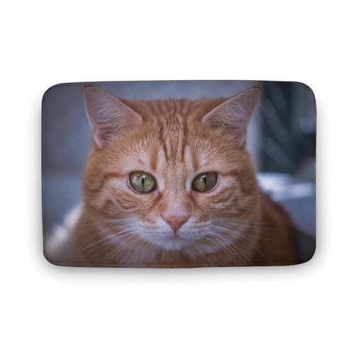 L   oX}bg   z փ}bg  O    ~ Aj LN^[ @}bg   ʏ