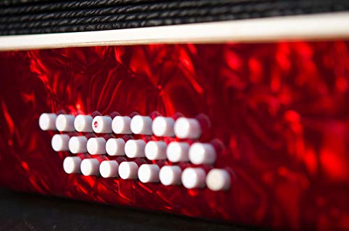 Tombo Accordion Professional 34 keys 24 bass (Made in Japan