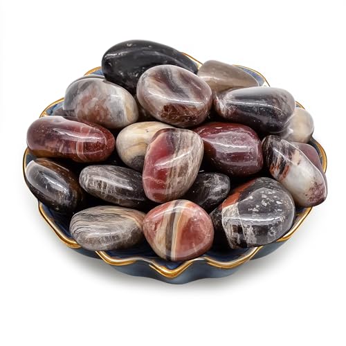 SigMntun polished petrified wood stones