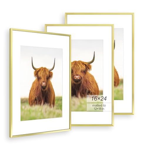 Image of Golden State Art, 16x24 Picture Frame Set of 3, Gold Thin Border, Display Photo 12x18 with Mat or 16x24 Without Mat, Poster Frame for Wall Hanging Horizontal and Vertical