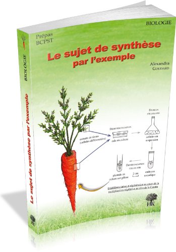 Télécharger Le sujet de synthèse par l'exemple PDF