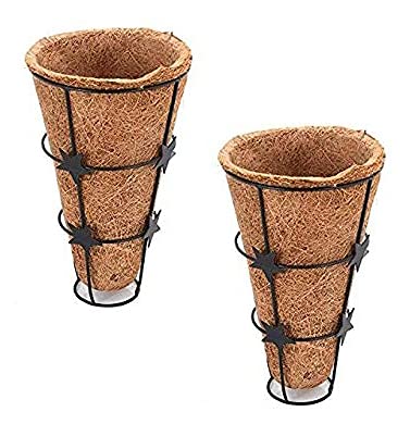 COIR GARDEN Conical Coir Basket with Stand, Flower Basket, Wall Mountain Coco Pots (Dia 15 cm, Height 23 cm) Pack of 2 (B07PW83S34) Amazon Price History, Amazon Price Tracker