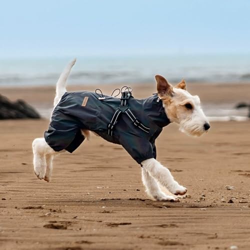 BT Bear Hundegeschirr-Regenmantel, verstellbare 4 Beine, Hunde-Regenjacke mit Geschirr, reflektierender Overall, Wasserabweisender Hunde-Regenmantel für kleine Hunde, Grau, Größe L