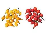 Samenchilishop