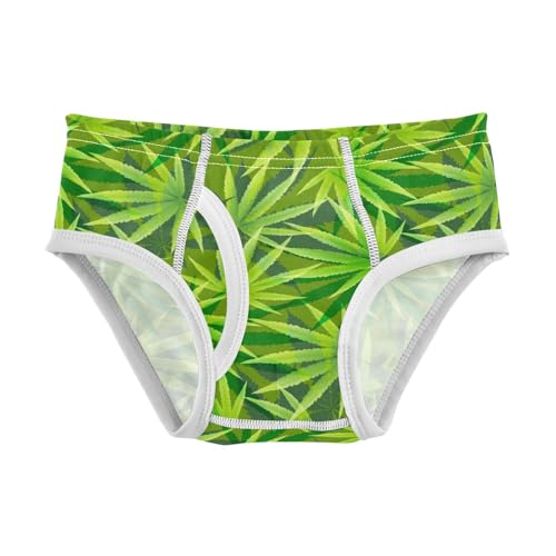 visesunny Boys Cotton Underwear Green Leaf Printed Toddler Soft Training Briefs Size 2T-8Y for Kids