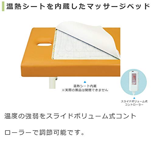 Amazon.co.jp: 【高田ベッド マッサージベッド】 有孔ハイローDX