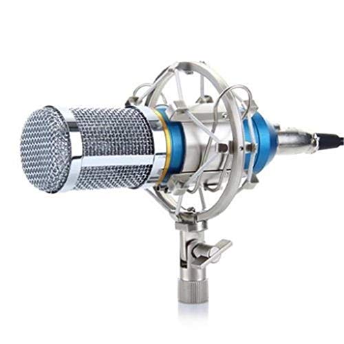 Professional Condenser Microphone Cardioid Audio Studio Vocal Recording Mic KTV + Shock Mount