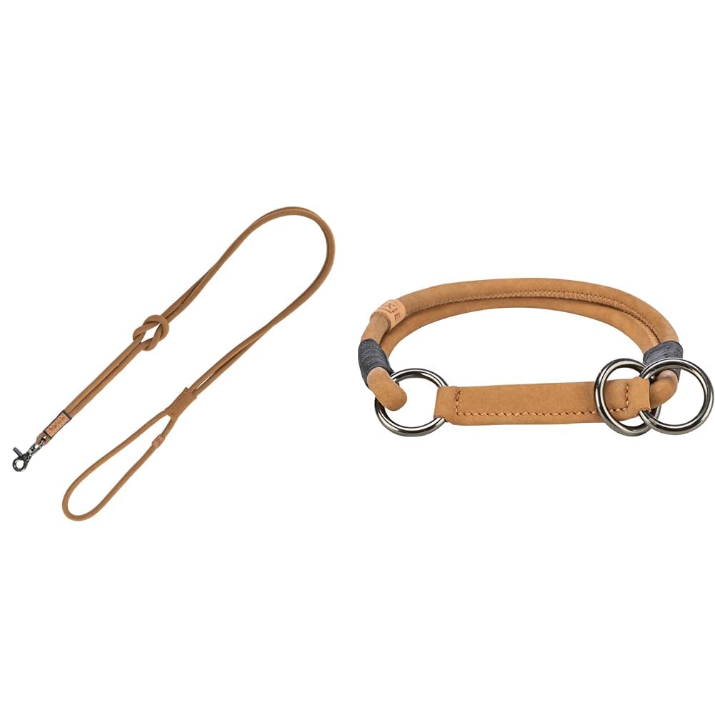 TRIXIE BE Nordic Set Sand: Leder-Hundeleine 1,20 m & Leder Zug-Stopp-Halsband L 50 cm