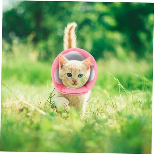 CIYODO Verstellbarer Katzen-halskragen Für Genesung Atmungsaktives Bequemes Design Für Hunde Und Katzen Schutzkragen Wundheilung