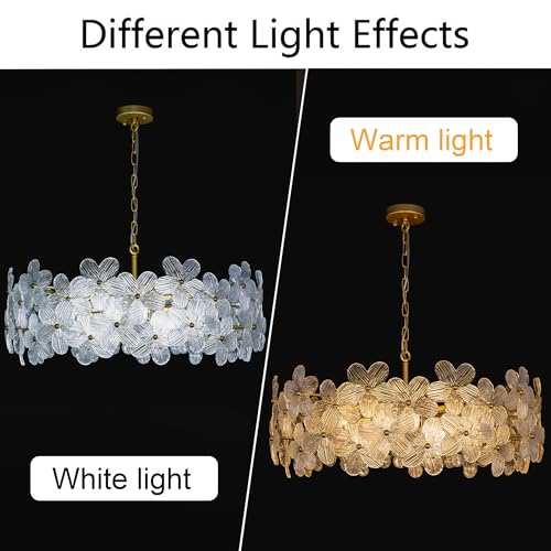 Wellmet 32 Inch Gold Glass Chandelier, Modern Crystal Chandeliers for Dining Room, Contemporary Round Glass Ceiling Light for Living Room Bedroom, Entryway, Foyer, Kitchen - image 4