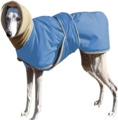 YAKINO R[g ~gWPbgOCnEh~WPbgEBybgybgggC^AOCnEht[XWPbg (u[,M)