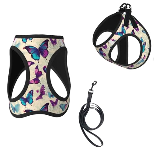 Groamaup Butterfly Reflective Dog Harness with Leash, Colorful Soft Vest Harness for Small Medium Large Dog Puppy Pets (Small Size)