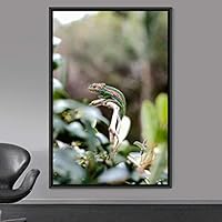 Framed Canvas Wall Art Reptile Contemporary Dramatic Hallway Iguana Multicolor Photography Reptiles - 16x24 inches