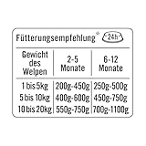 Dogs’n Tiger Junior, Hundefutter, Grünschnabel, Hundenassfutter für Welpen mit Huhn, Reis und Gemüse, ohne Getreide, Zuckerzusatz, künstliche Konservierungsstoffe, 6X 400g