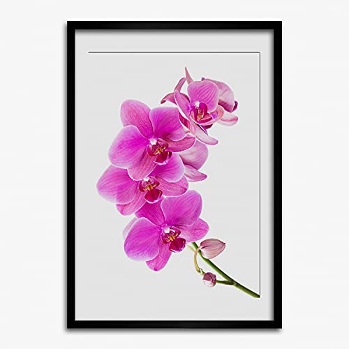 Cadre photo 50x70 cm premium en bois MDF Tulup avec affiche d'orchidée rose artistique