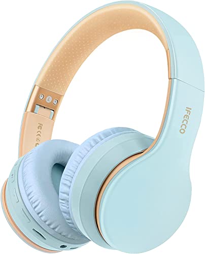 iFecco Casque sans Fil Bluetooth 5.3, Casque avec Temps De Lecture De 30 Heures, Pliable avec Casque Bluetooth Over Ear Prend en Charge Micro SD/TF/FM pour Téléphone/PC/TV