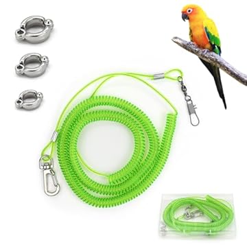 bird harness for falconry training
