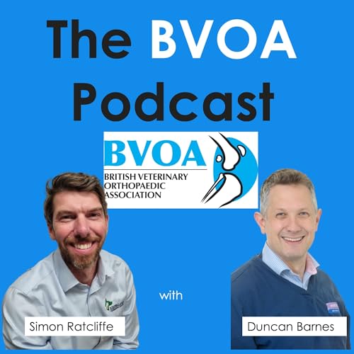 『The BVOA Podcast』のカバーアート