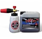 WASH CHEMS LLC PRO-100