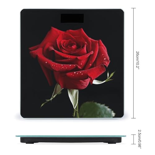 Báscula Digital VstaDank con Plataforma de Vidrio Templado miniatura 2
